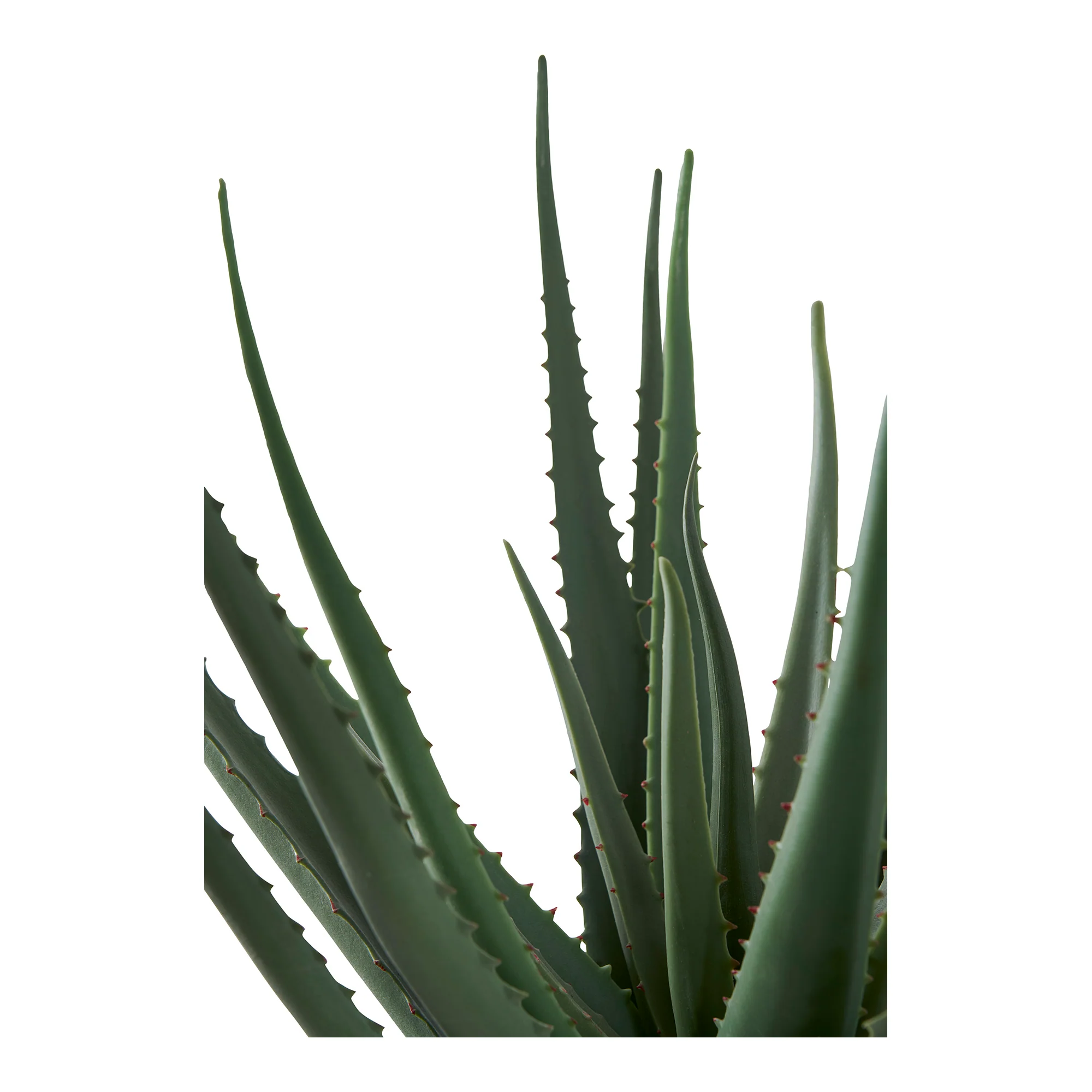Aloe Vera Konstgjord Växt - Image 5