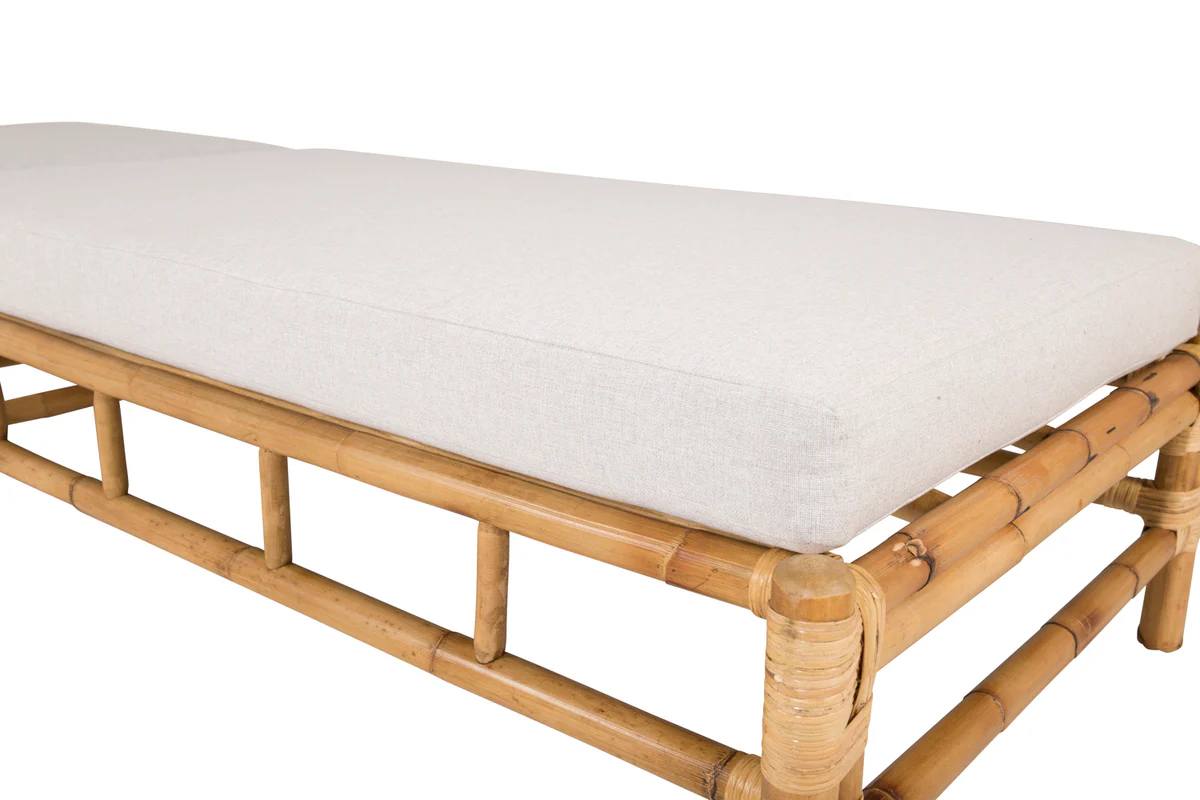 Cane Solstol - Image 7