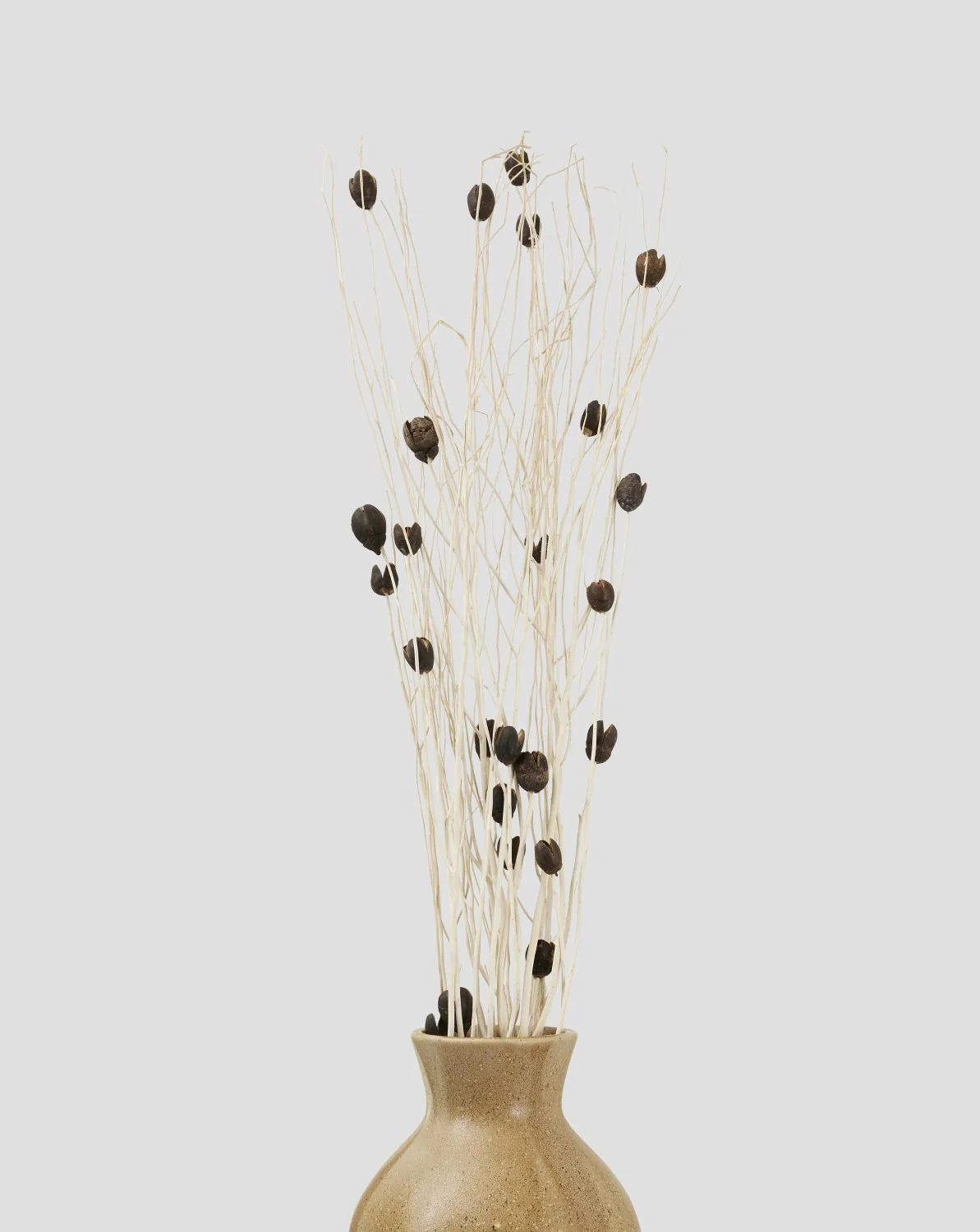 Flore Bakuli Dekoration 3 x 5-pack - Image 2