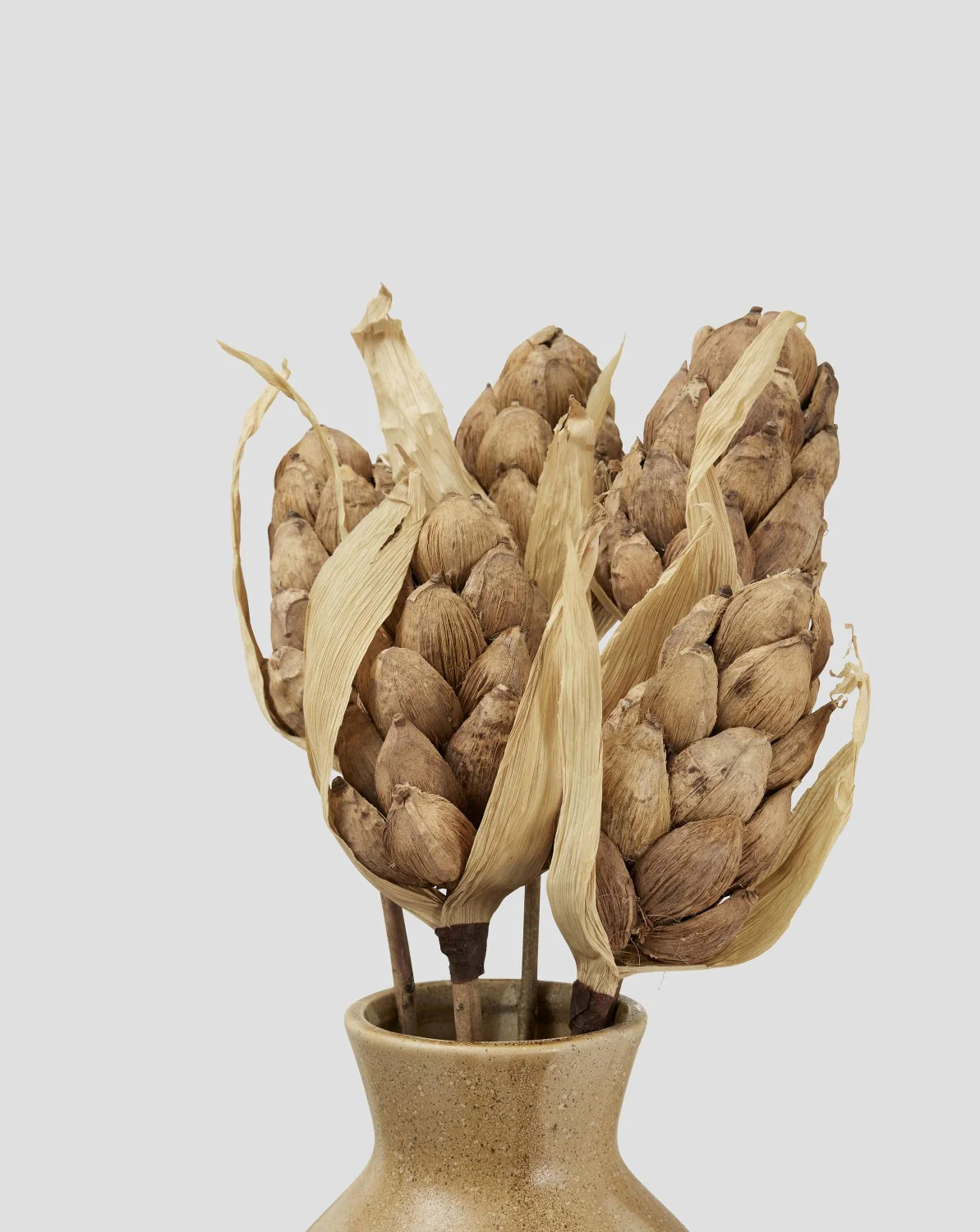 Flore Cone  Dekoration  5-pack - Image 2