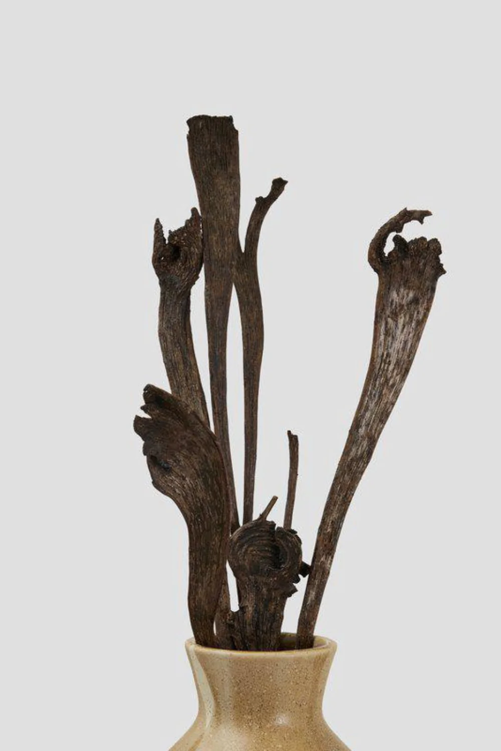 Flore Natraj  Dekoration 2 x 5-pack